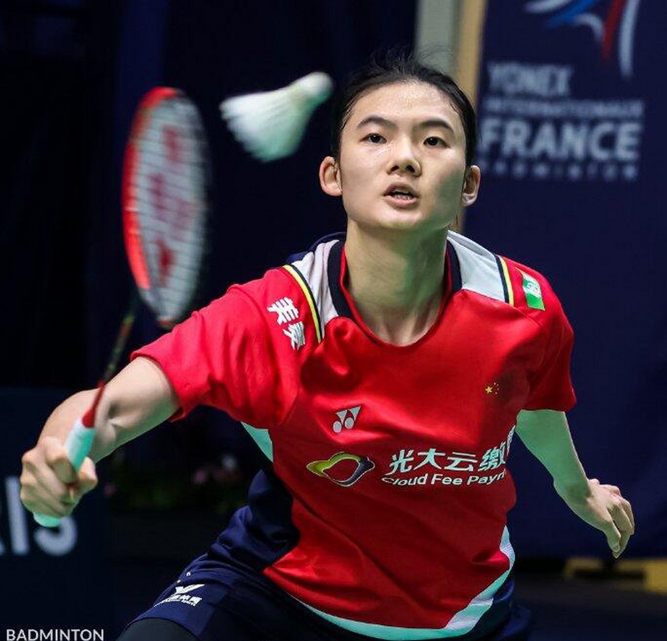 杂关系提供 杂关系提供